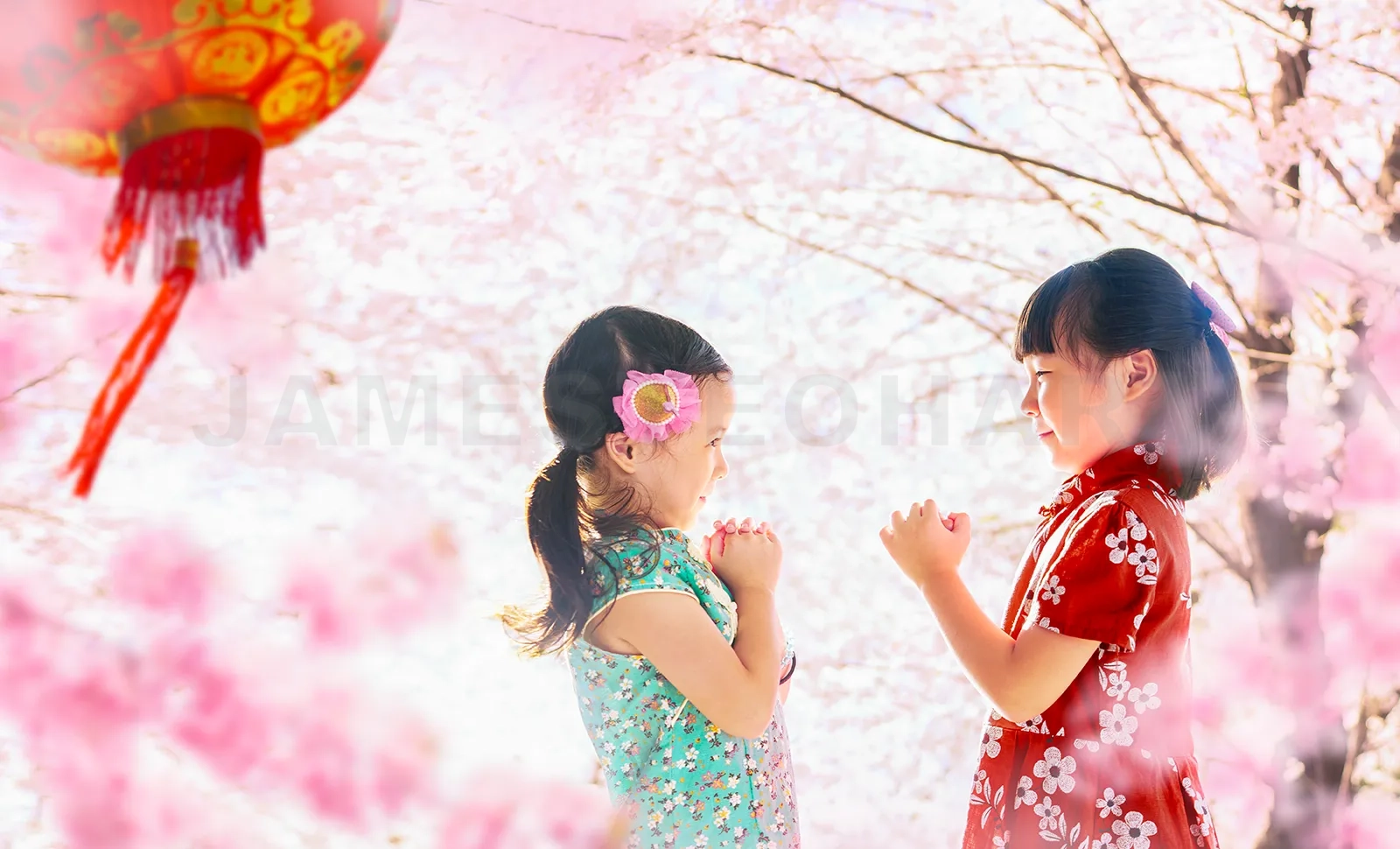 featured-image