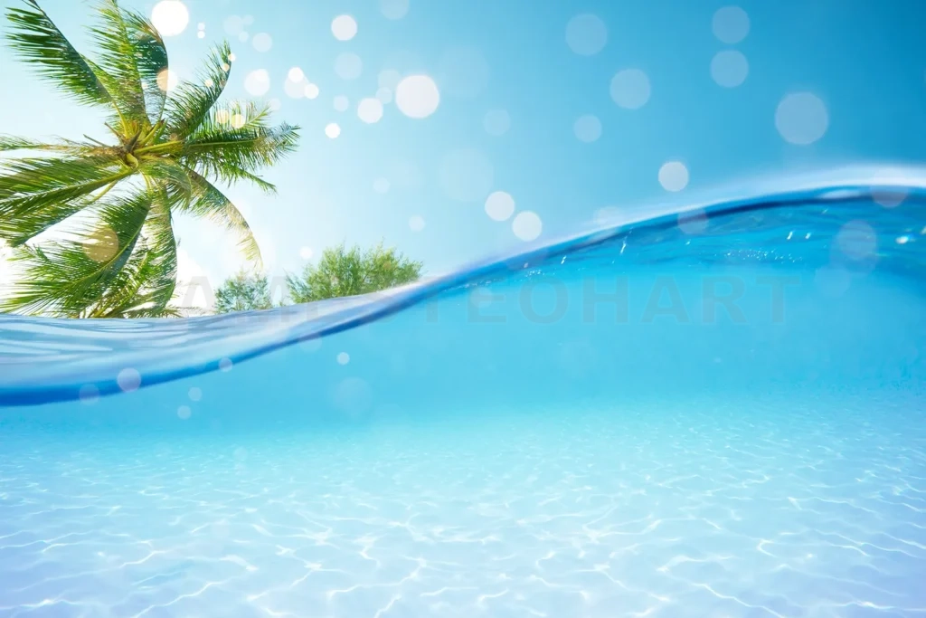 
Tropical paradise split view underwater and above the surface