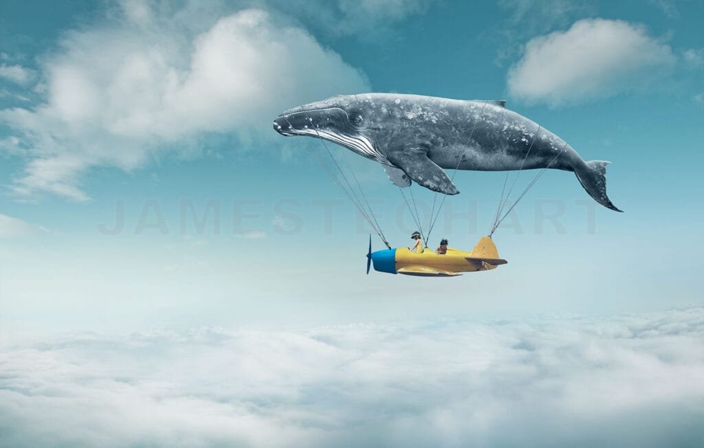 
A massive whale tows a tiny yellow airplane high above the clouds
