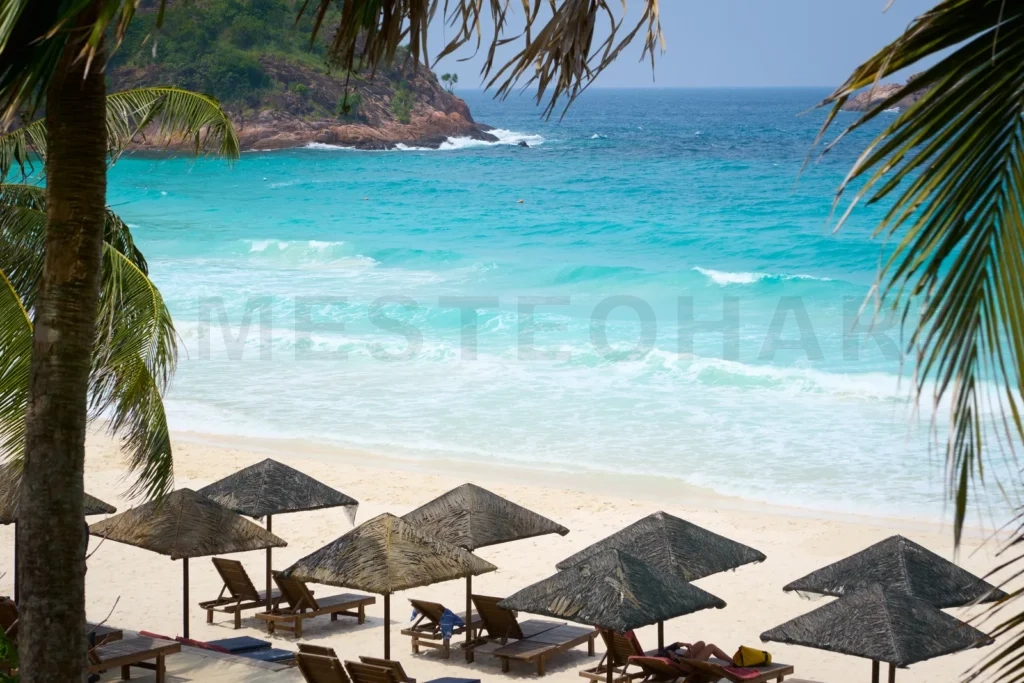 
Turquoise sea waves crashing on idyllic tropical beach with palm