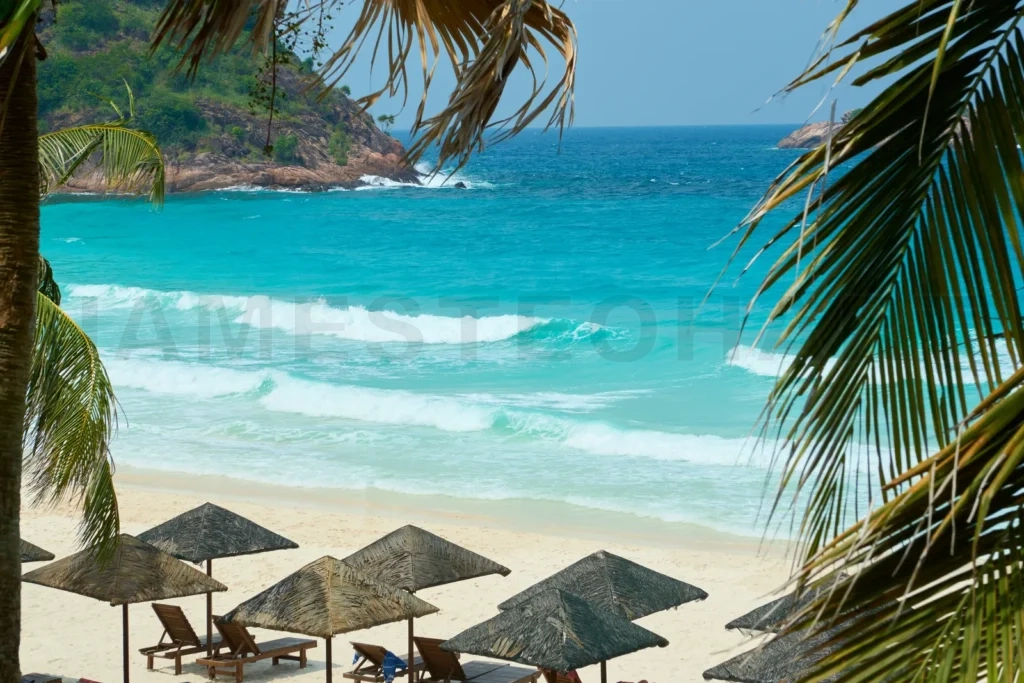 
Turquoise sea waves crashing on idyllic tropical beach with palm