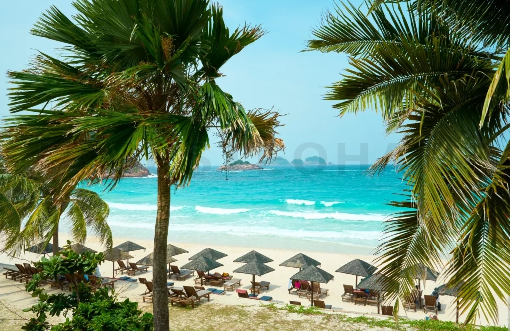 
Palm trees framing tranquil beach scene in redang island, malaysia