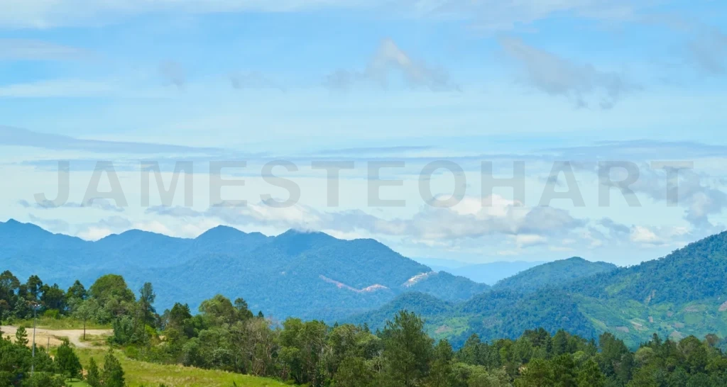 
Breathtaking panoramic landscape of mountains covered with forest under blue sky