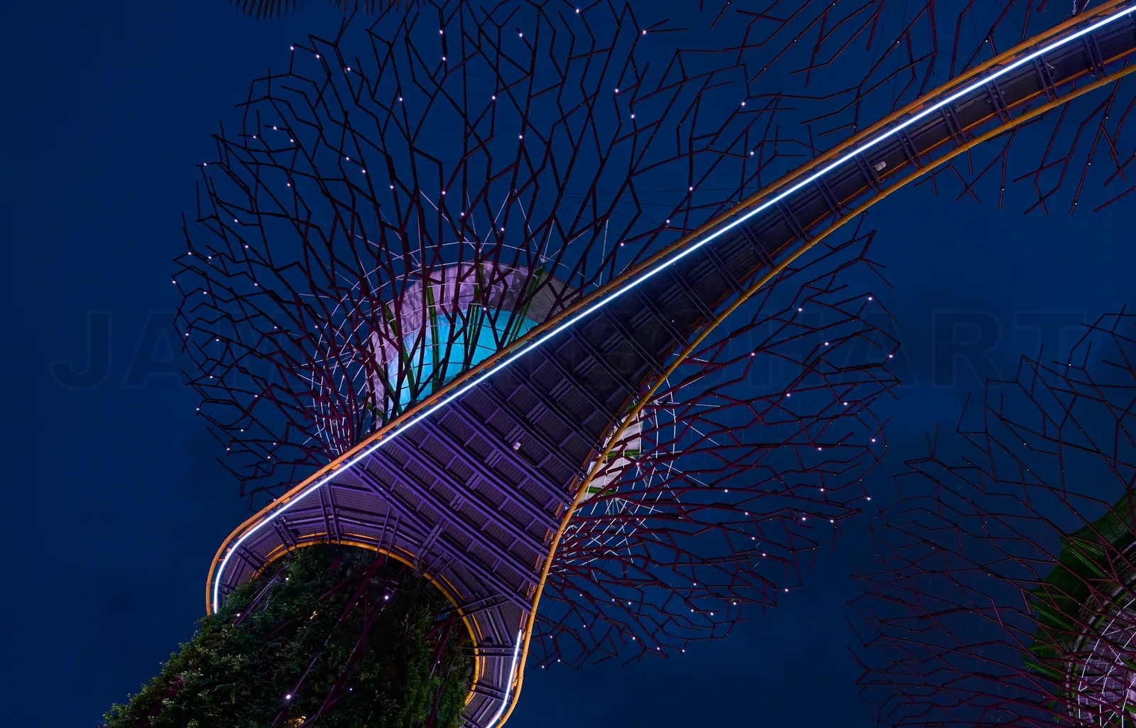 featured-image