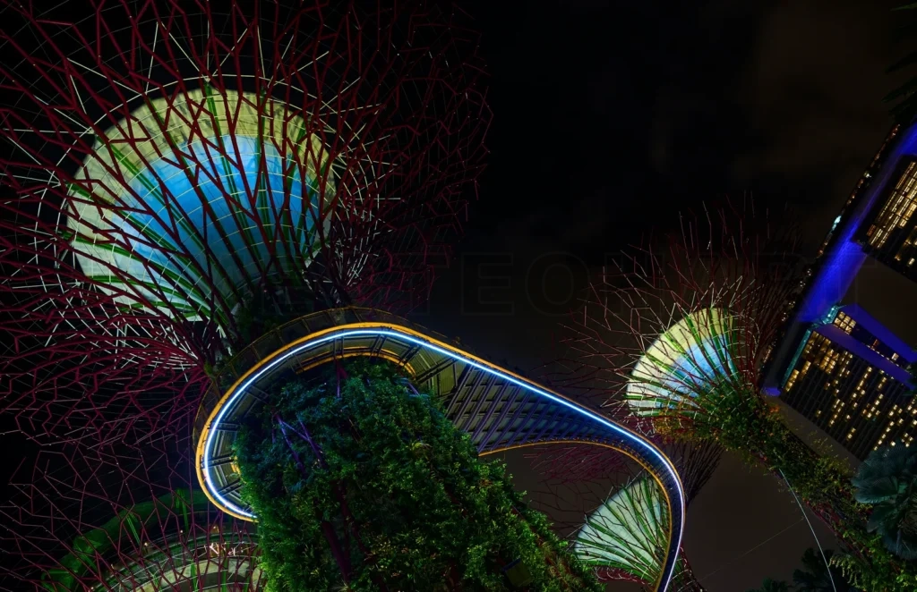
Supertree grove illuminating the night at gardens by the bay, singapore