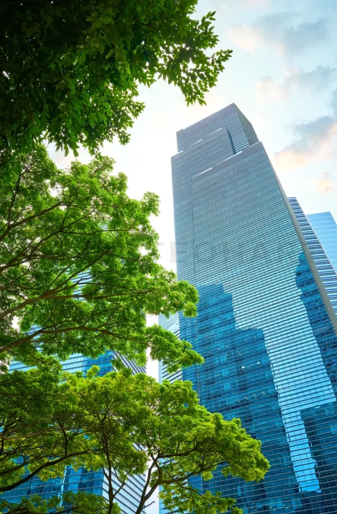 
Green trees framing modern skyscrapers in singapore’s financial district