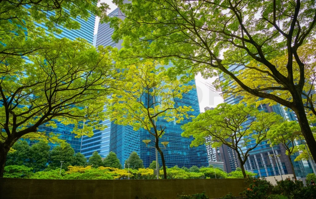 
Green trees growing in front of modern buildings in sustainable city