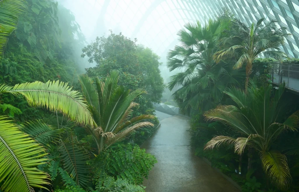 
Lush greenery flourishing in the cloud forest at gardens by the bay, singapore