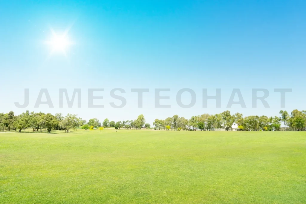 
Green Field Under Blue Sky With Sun Flare