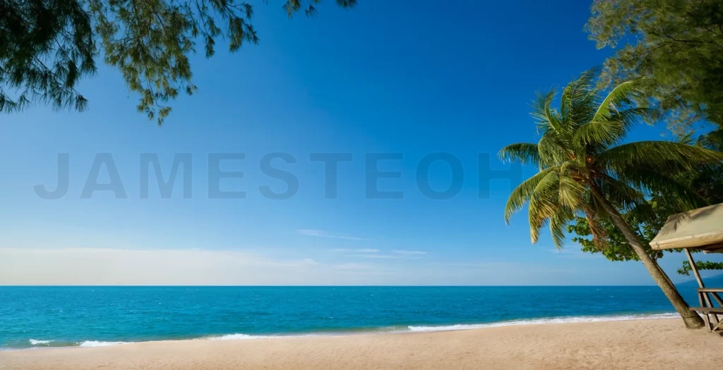 
Tropical beach paradise with palm tree and blue sky
