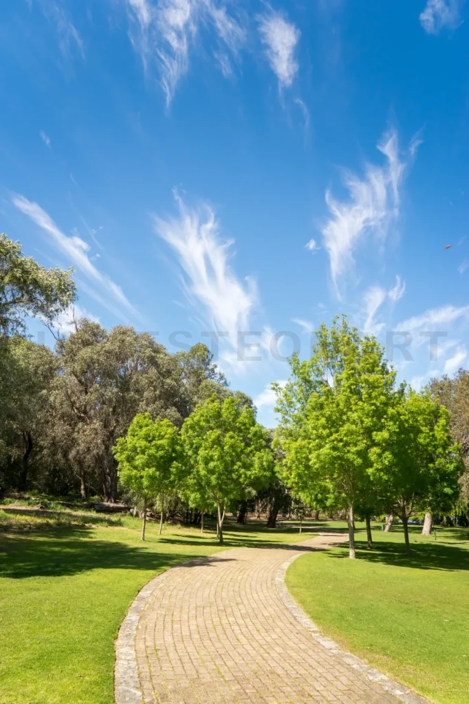 
Stone Pathway In A Yanchep National Park