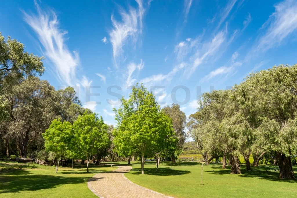 
Stone Pathway In A Yanchep National Park