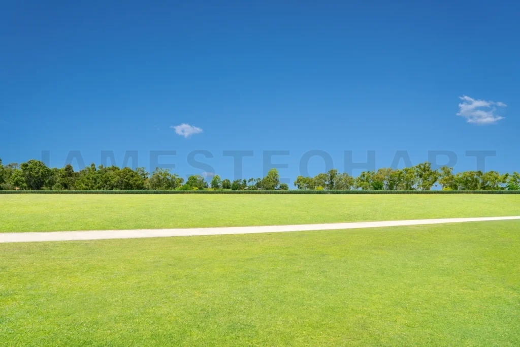 
Green Field With Pathway And Blue Sky