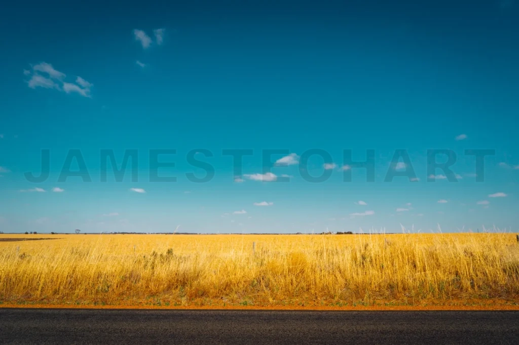 
Asphalt Road On Westen Australia