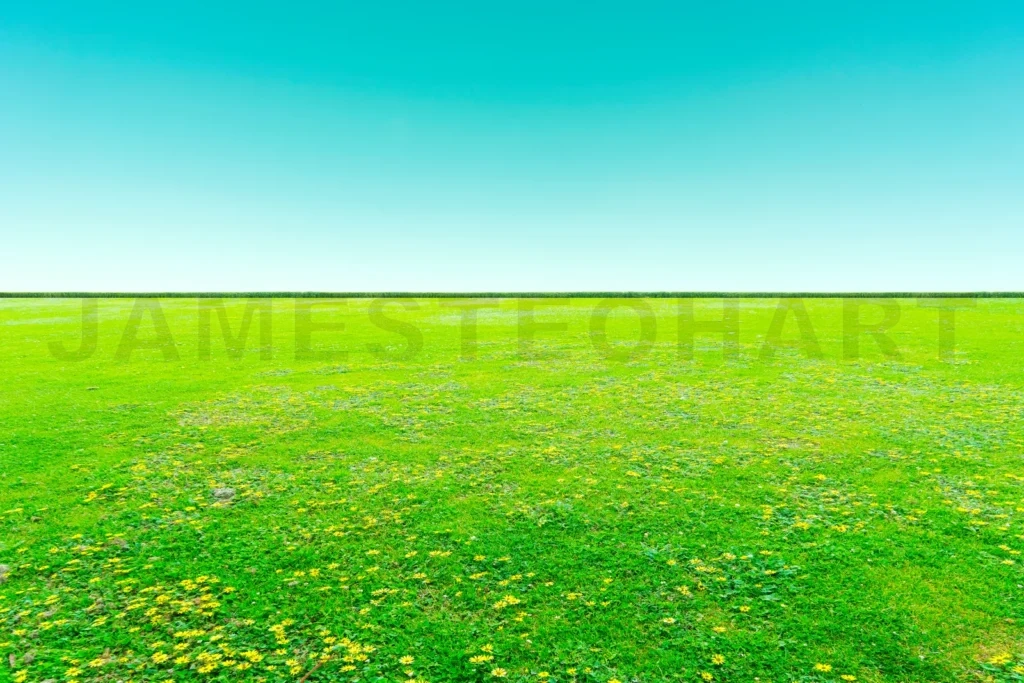 
Green Field With  Blue Sky