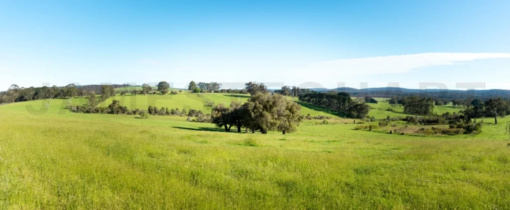 
Green Field And Blue Sky , Walpole ,Australia