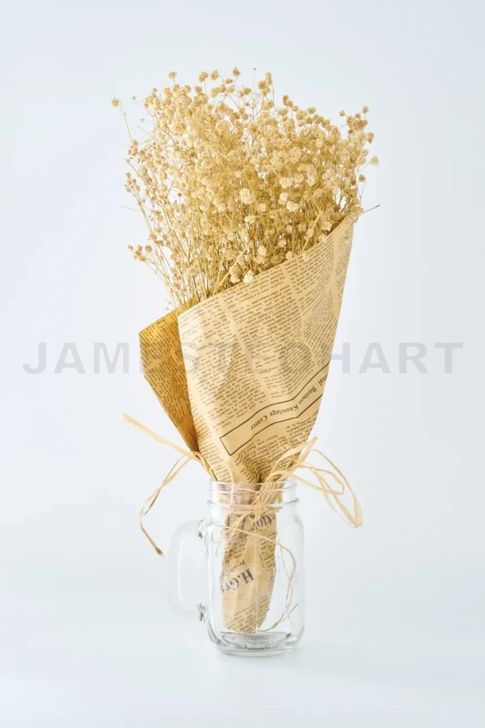 
Dried Gypsophila Flowers On White Background