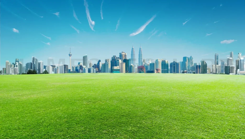 
Green Grass And Downtown