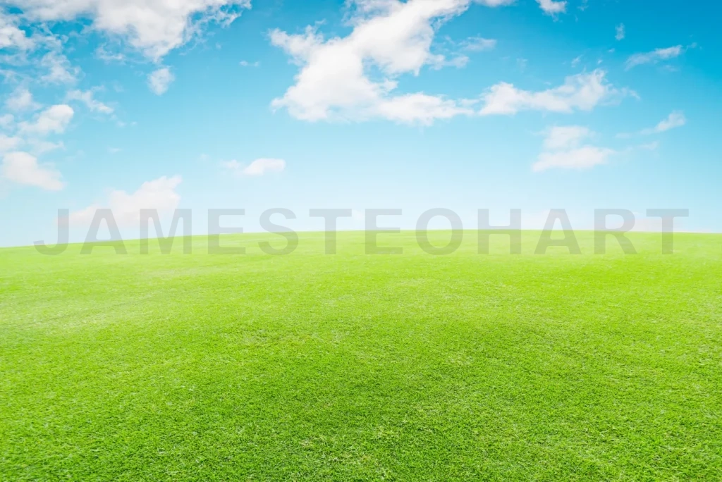 
Image Of Green Grass Field And Bright Blue Sky