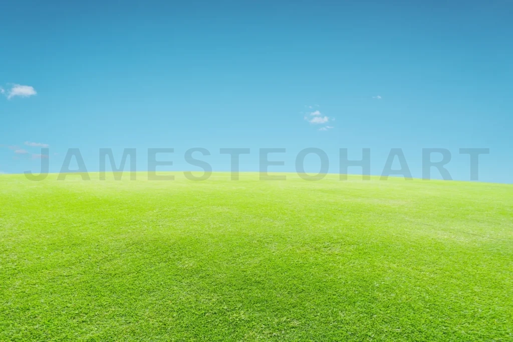 
Green Field And Blue Sky