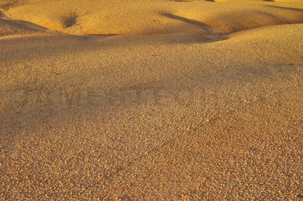 
Tropical Laterite Soil Or Red Earth Background