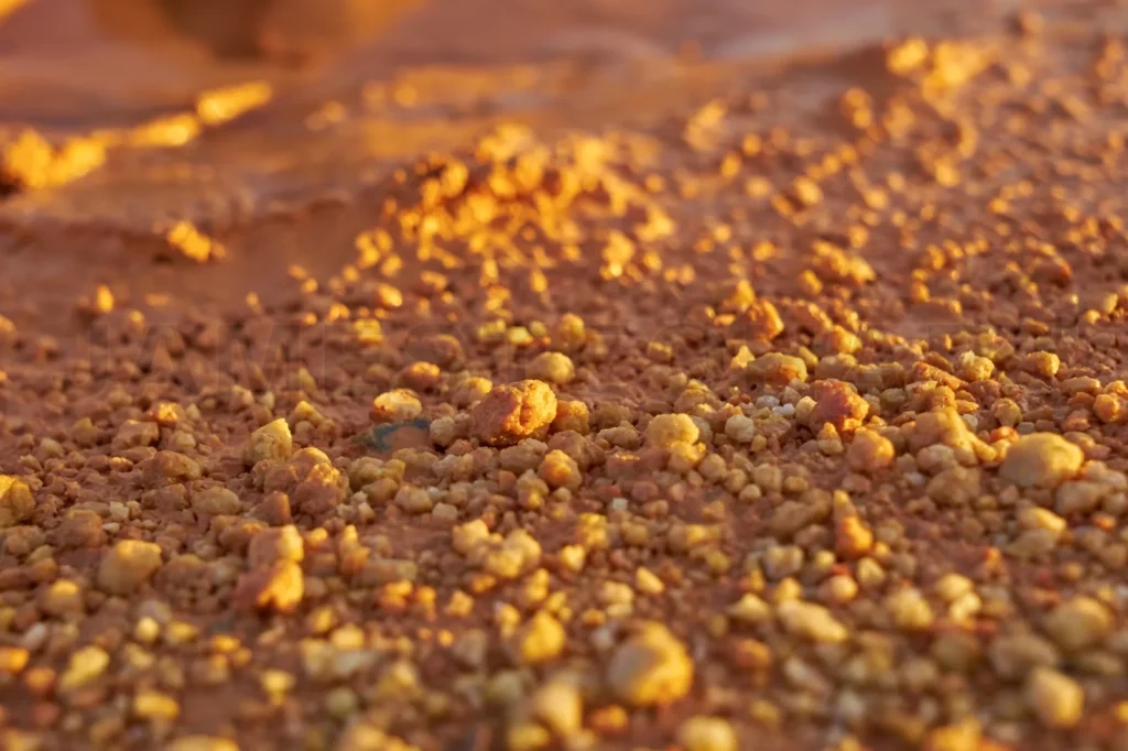 
Tropical Laterite Soil Or Red Earth Background