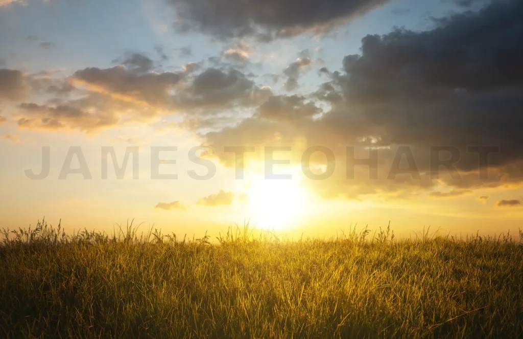 
Golden hour sun setting over green meadow