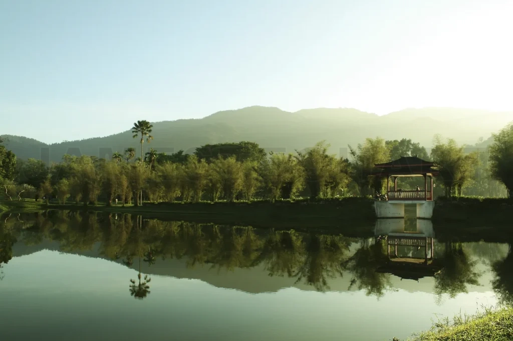 
Morning Taiping Lake Garden