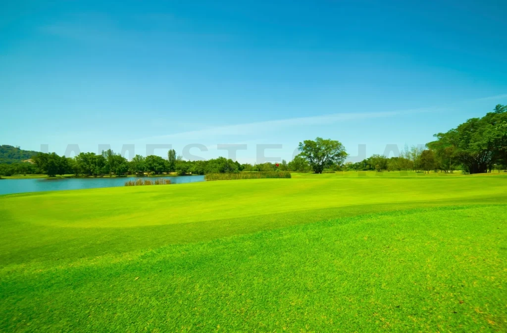 
Green golf course fairway with lake and clear blue sky