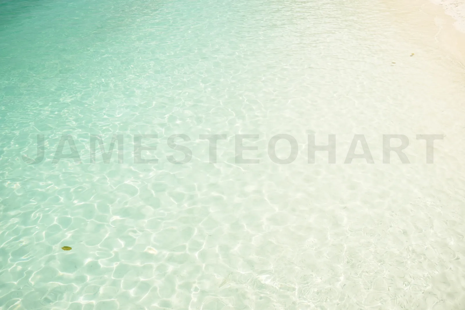 featured-image