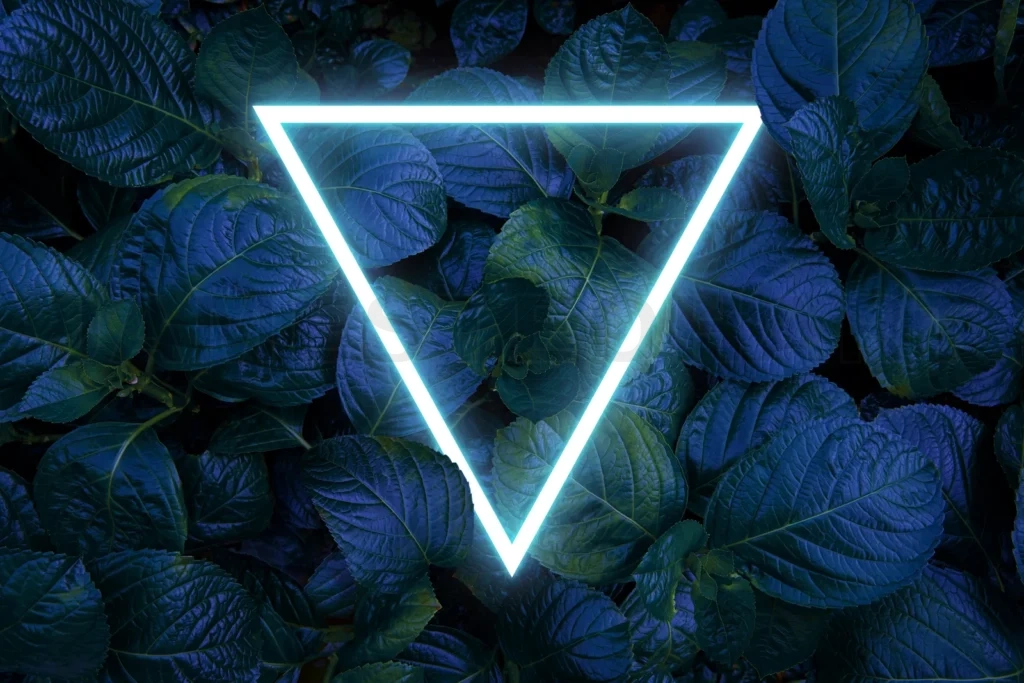 
Beautiful and fresh green leaves with triangle neon light