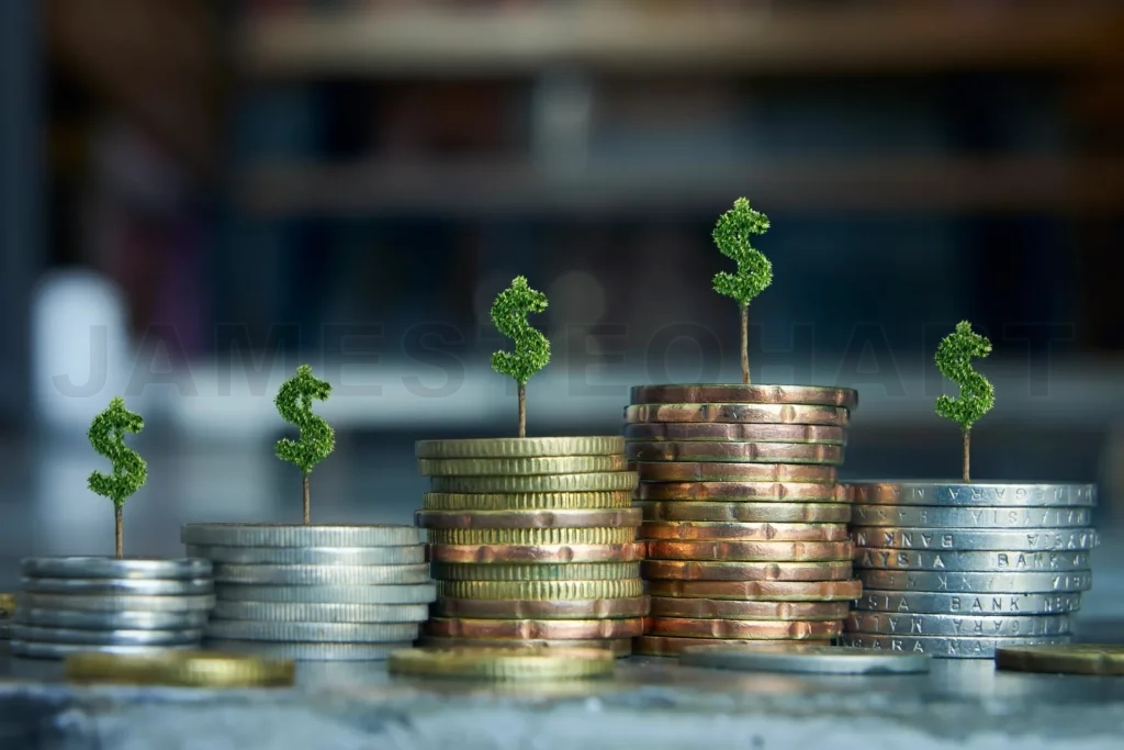 
Coins stacked with money tree growing up on it