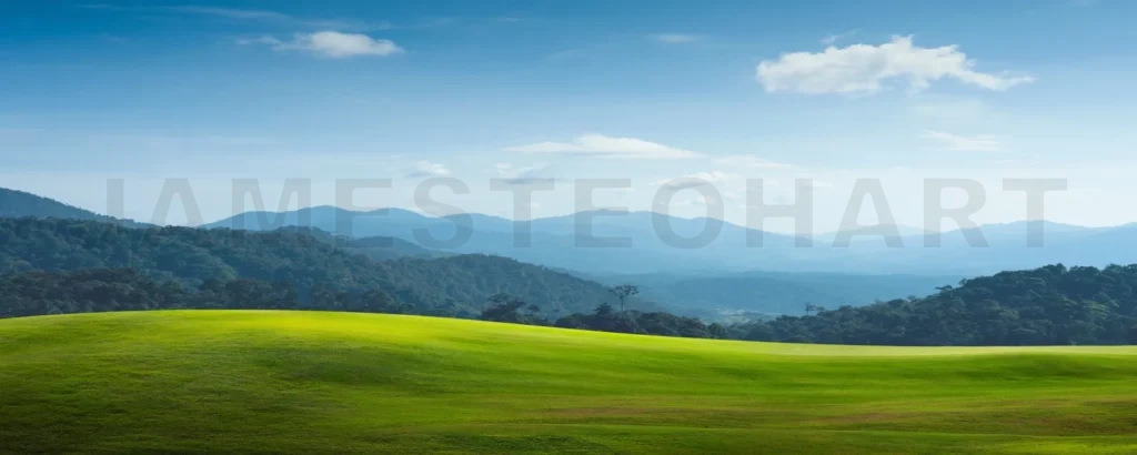 
Panorama view of greenfield and mountain landscape