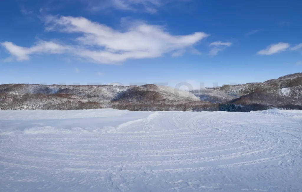 
Snow fields with tire tracks and beautiful landscape