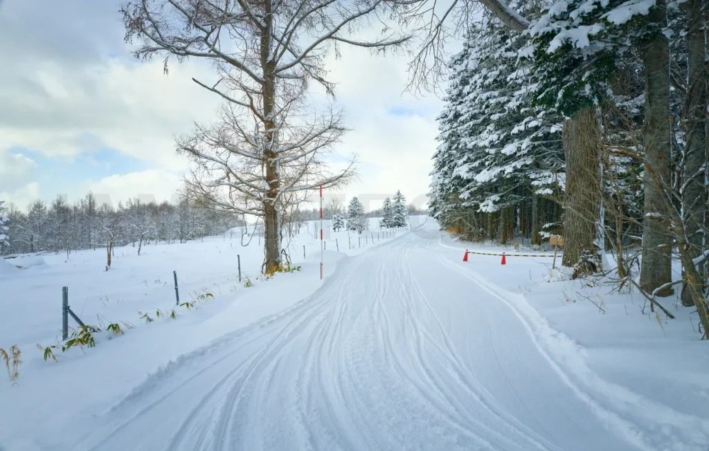
Empty snow road with tire tracks in the forest