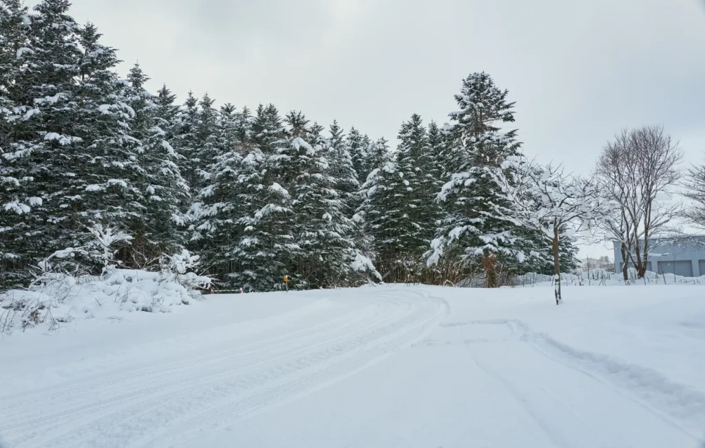 
Beautiful view on covered snow scenery