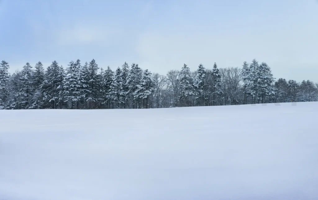 
Panoramic view of snow fields landscape