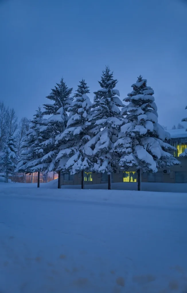 
Winter night view of Hokkaido Japan