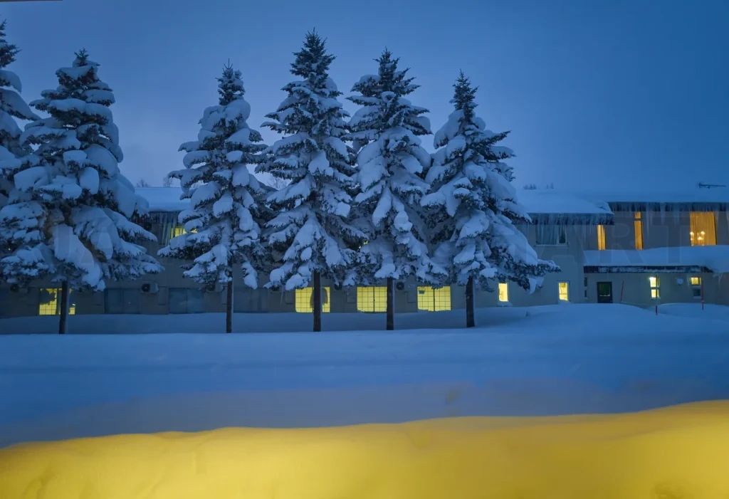 
Winter night view of Hokkaido Japan