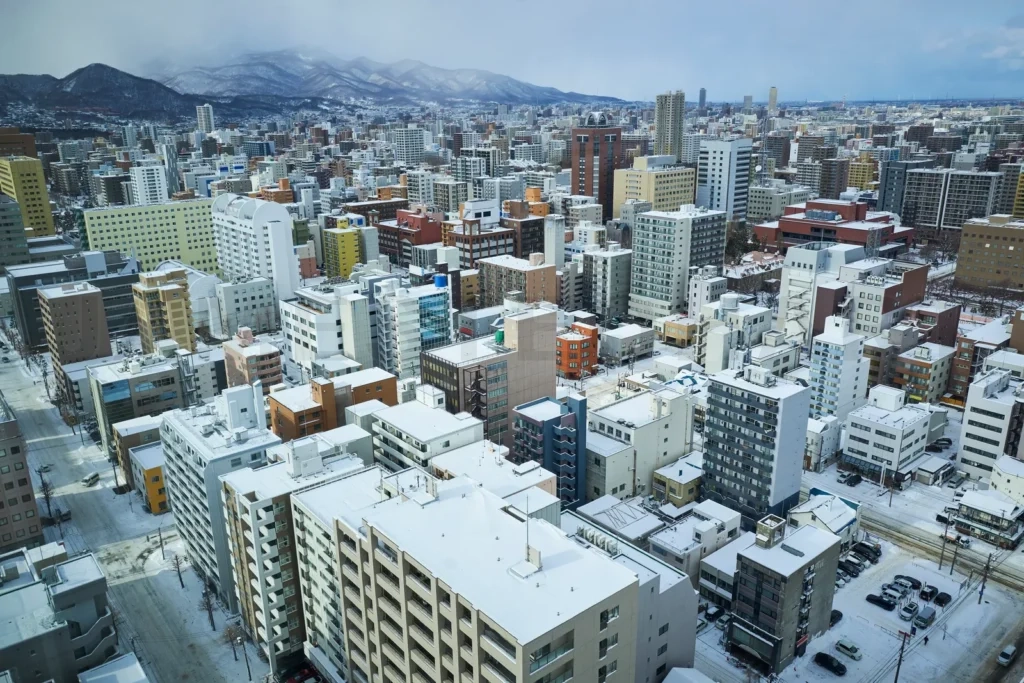 
Aerial view of cityscape of winter Sapporo