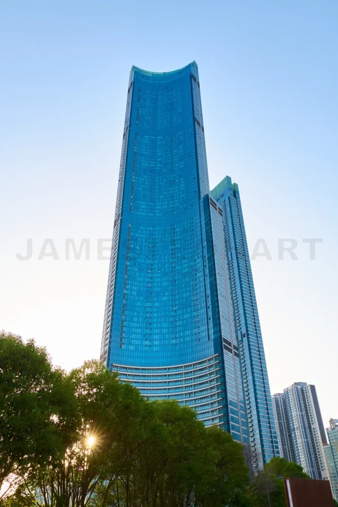 
The sun is shining behind a modern skyscraper towering over gree