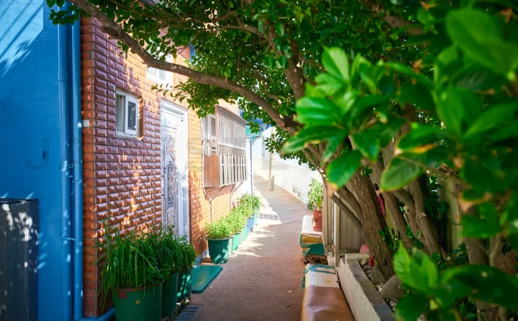 
Gamcheon culture village alley showing colorful houses and lush