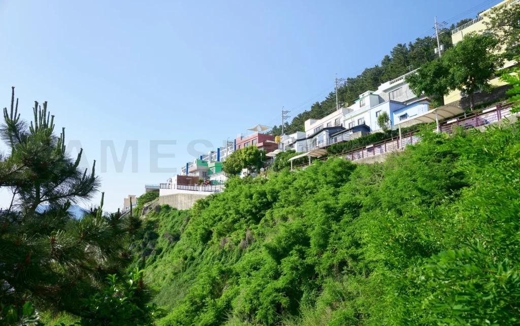 
Huinnyeoul culture village perched on a cliffside in busan, sout