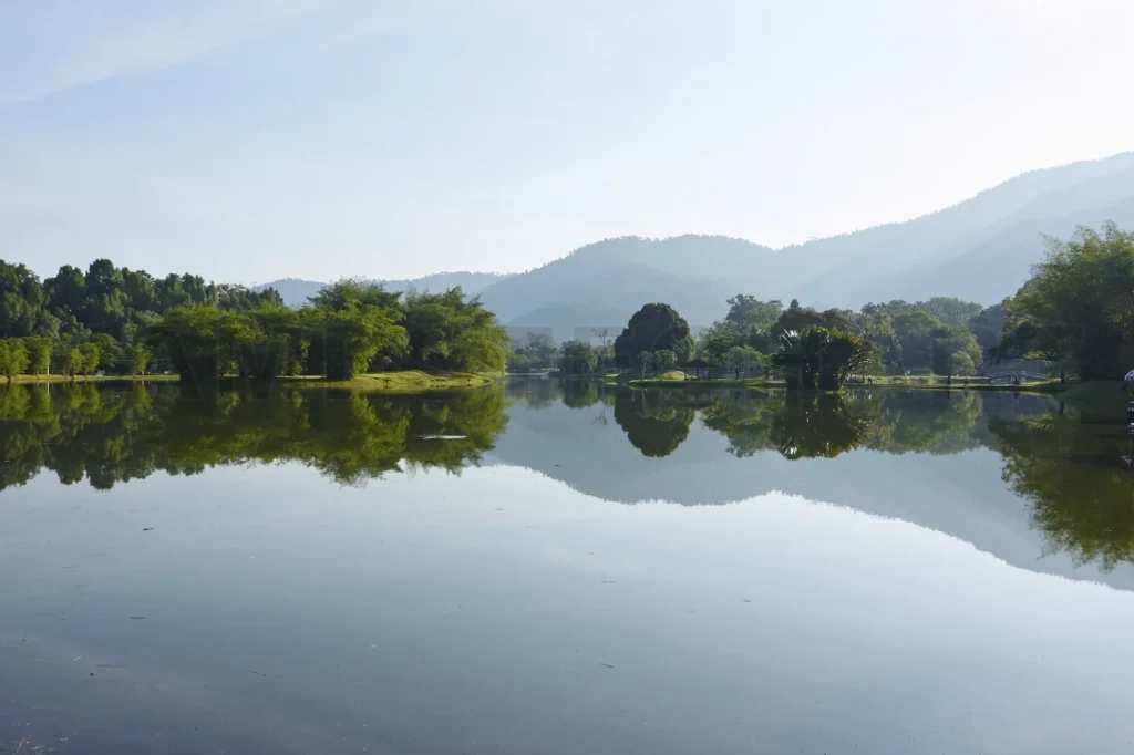 
Morning Taiping Lake Garden